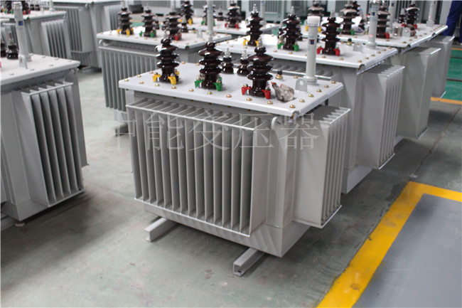 安顺S22-250KVA/10KV变压器